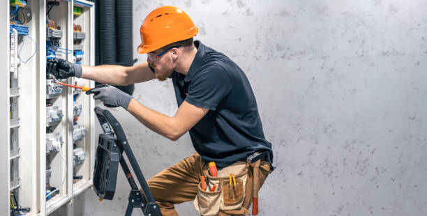 Best Electrical Upgrades for Homes  in Diaz, AR